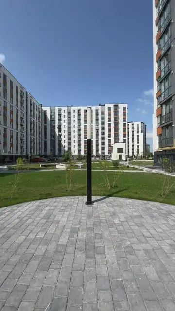 Двойники прячутся за столбом, а потом вместе танцуют - 5