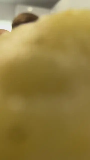 Subjects doing different things in a collage - 8