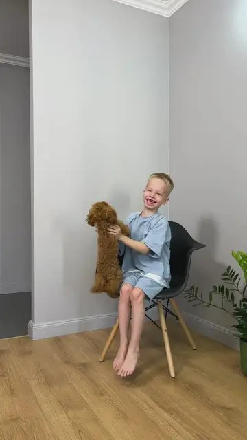 Playing with a dog and becoming a child again - 1