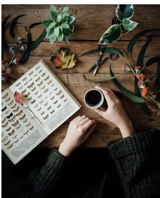 Darkacademia TikTok — Photo №1