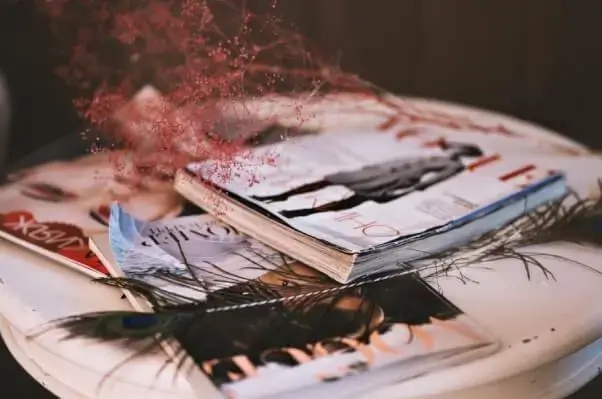 Desafío Cool Vogue — Photo №2