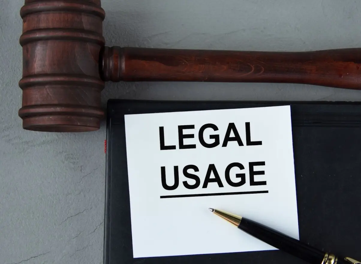 Música con derechos de autor de TikTok: lo que los creadores deben saber — Photo №2