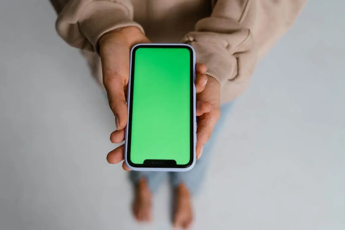 Green screen effect in the video editor — Photo №1